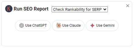 SEO Reports